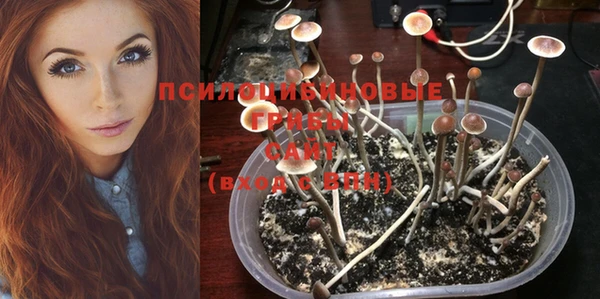 дживик Белоозёрский