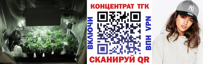 как найти   Губкинский  ТГК Wax 
