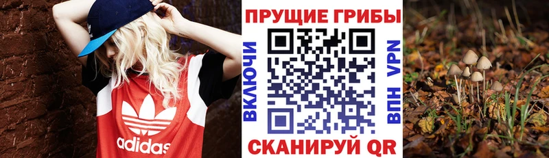 Псилоцибиновые грибы Magic Shrooms  Губкинский 