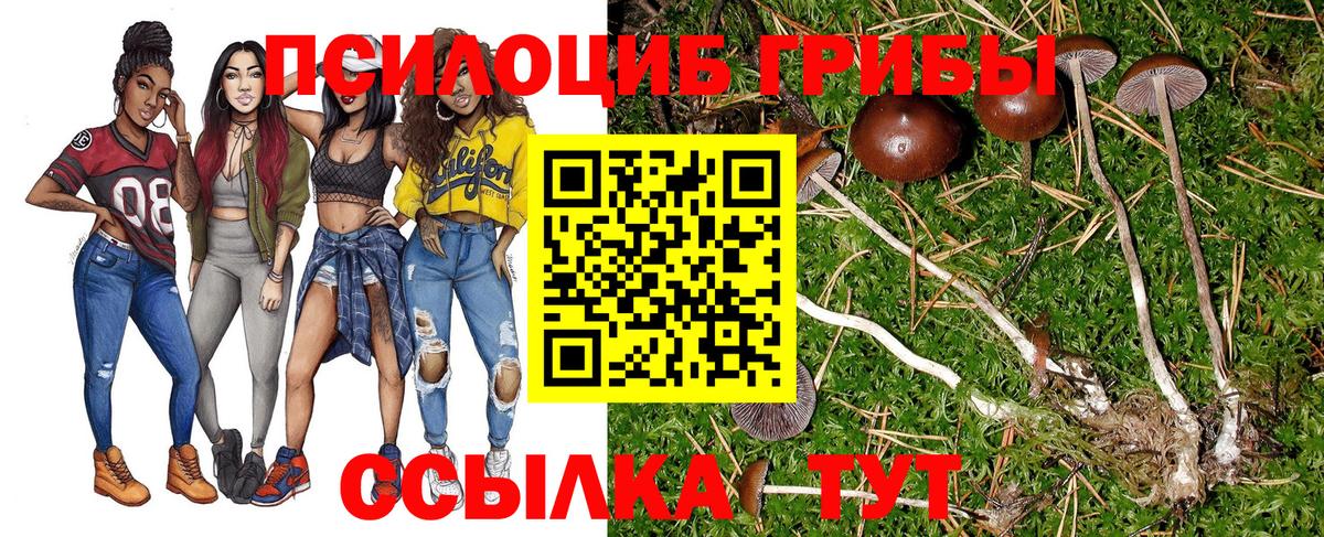 Галлюциногенные грибы GOLDEN TEACHER  Вход с VPN  Губкинский 