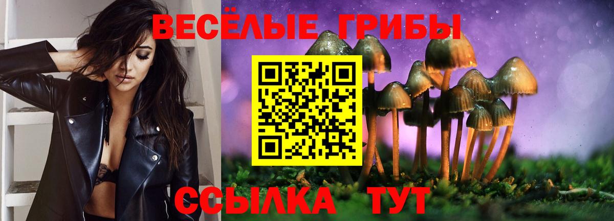 Галлюциногенные грибы GOLDEN TEACHER Губкинский
